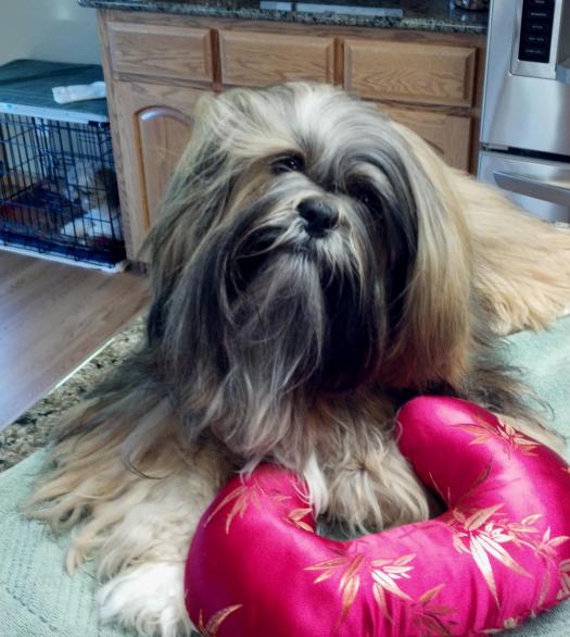 :::yawn:::  Do we have to do the hair thing this morning, Mom??
