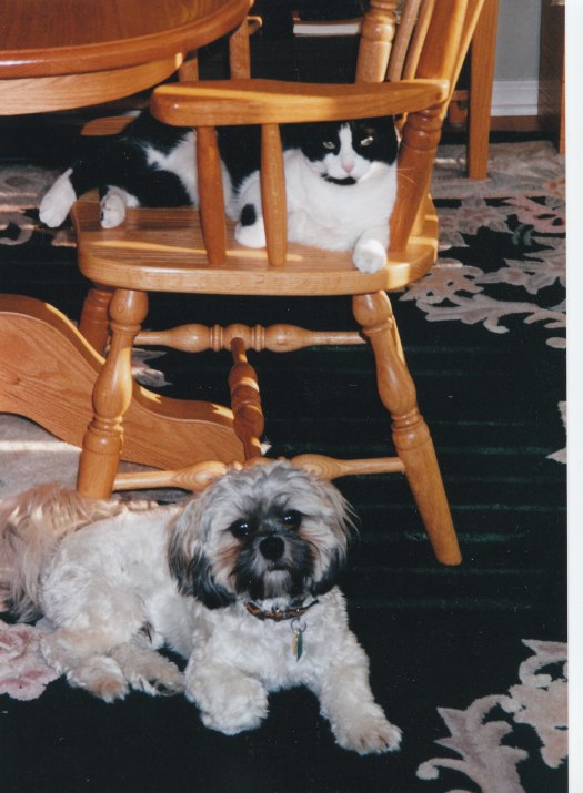 Ka Tu and feline friend ... 