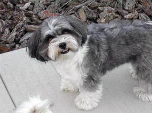 Frankers gardening ... 