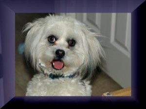 I'm a happy girl ... 