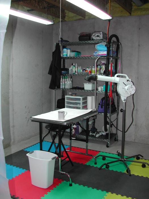 Basement grooming area ... "DogRoom"