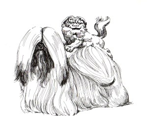 CH Everglo Zijuh Tomba