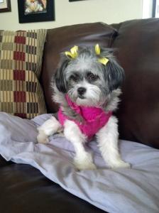 IMG_20140301_124813_633