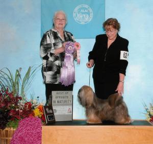 Best of Opposite Sex